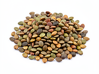 Shelled hemp seeds