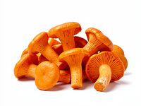 Chanterelles (fresh)