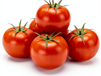 Ripe tomatoes