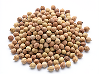 Coriander seeds