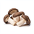 Oyster mushrooms