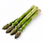 Fresh asparagus