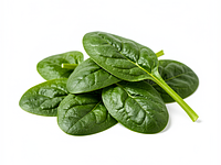 Fresh baby spinach