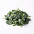 Frozen spinach (chopped)