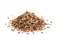 Łuska babki jajowatej