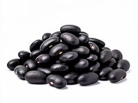 Czarna fasola (konserwowa)