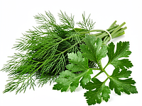 Świeże zioła (koperek, natka pietruszki)