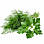 Fresh herbs (dill, parsley)