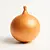 Onion