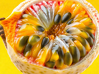Passion fruit