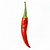 Red chili pepper