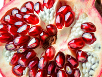 Pomegranate