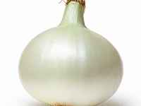White onion