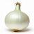 White onion