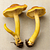 Fresh chanterelles