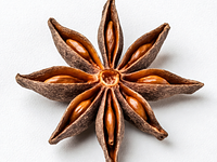 Gwiazdka anyżu