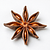 Star anise
