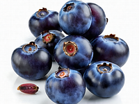 Wild berries