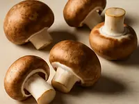 Mushrooms