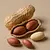 Peanuts