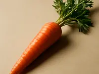 Carrot